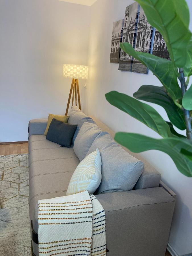 Lovely Apartment In A Quiet Area كلوج-نابوكا المظهر الخارجي الصورة